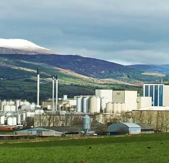 dairygold_featured